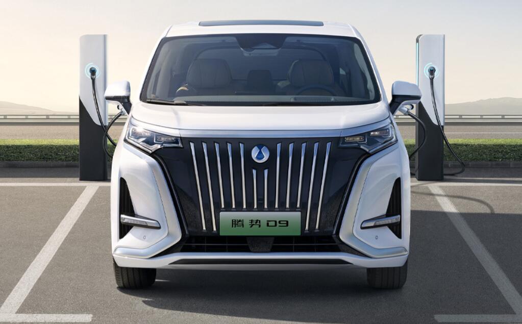 Denza D9 EV топ + все допы